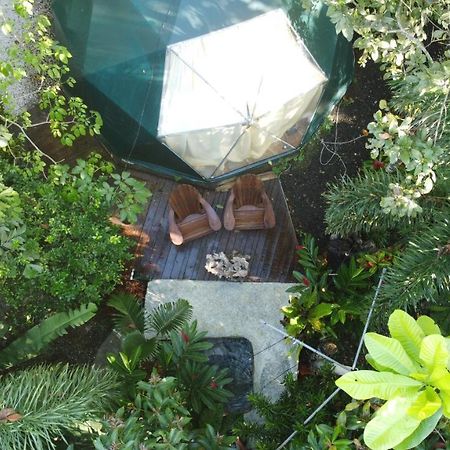 Momotus Glamping Hotel Florencia Bagian luar foto