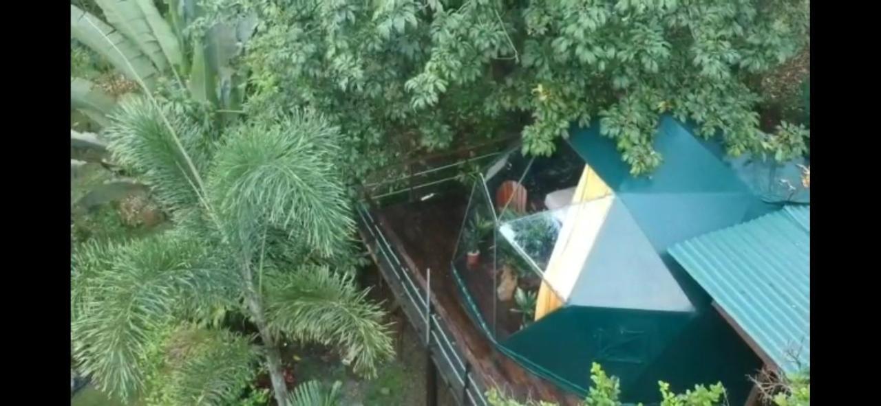Momotus Glamping Hotel Florencia Bagian luar foto
