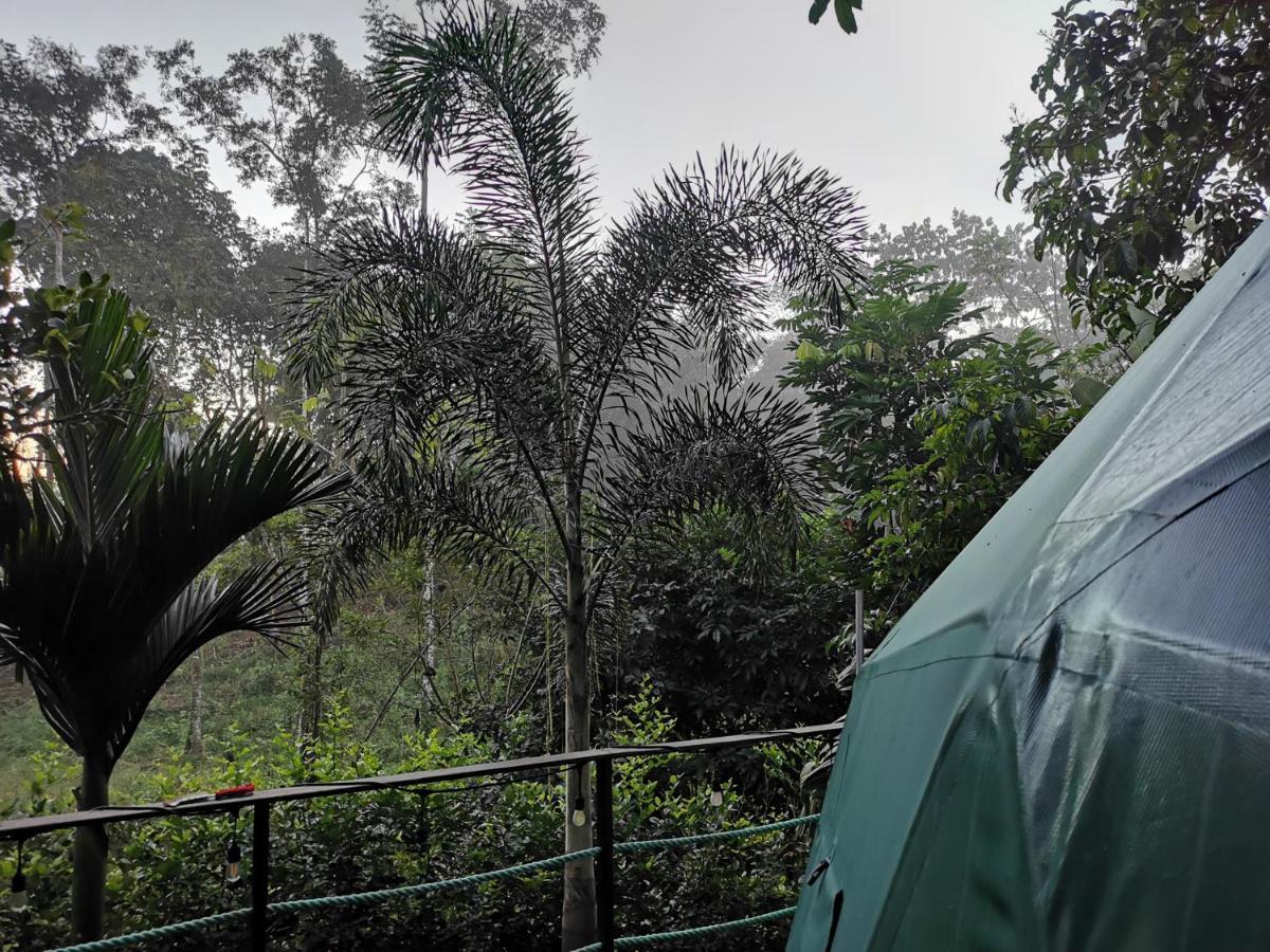 Momotus Glamping Hotel Florencia Bagian luar foto