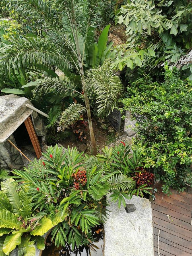 Momotus Glamping Hotel Florencia Bagian luar foto