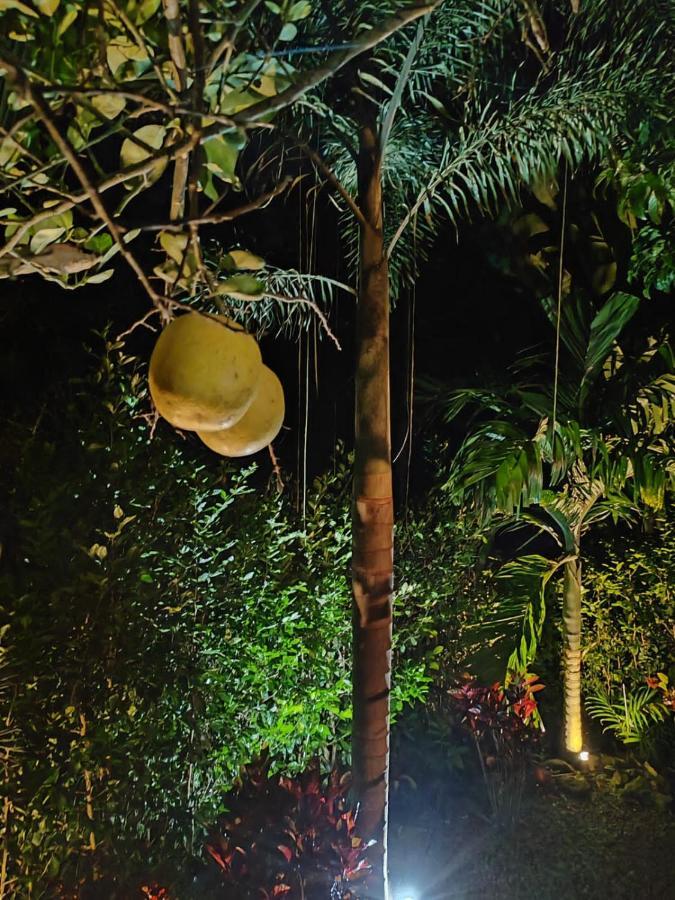 Momotus Glamping Hotel Florencia Bagian luar foto