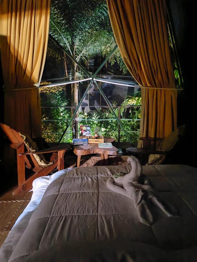 Momotus Glamping Hotel Florencia Bagian luar foto