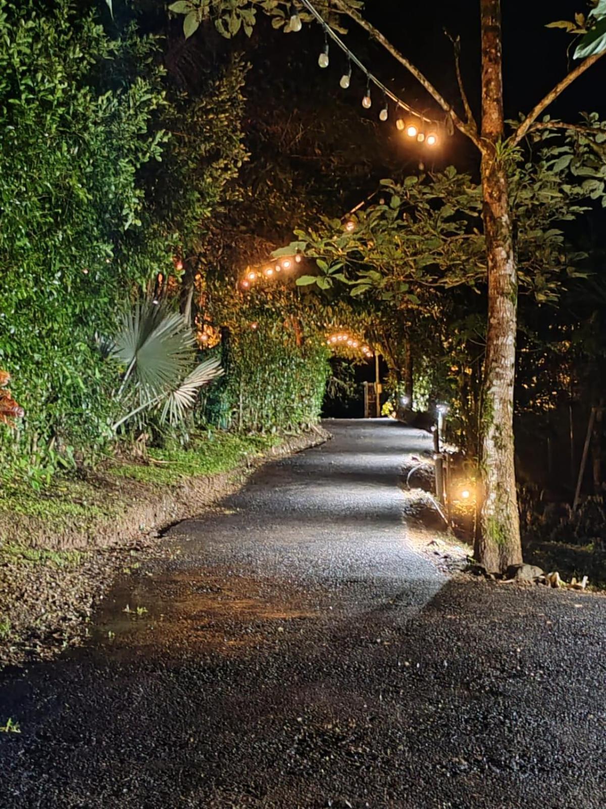 Momotus Glamping Hotel Florencia Bagian luar foto